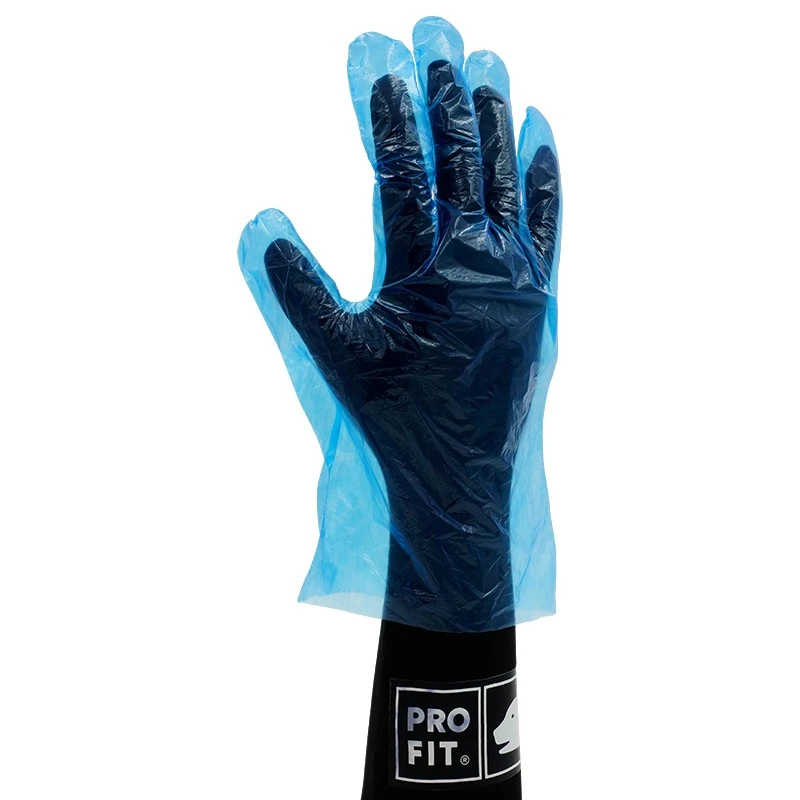 PRO FIT, PE disposable glove, Blue, Disposable gloves